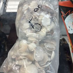 Shells