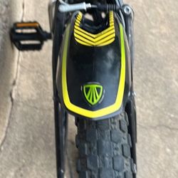 Trek Jet Series 20 Kids Bike