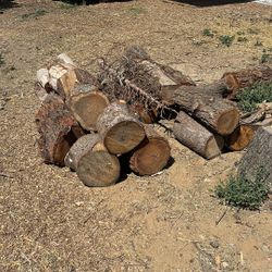 Firewood