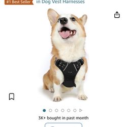 DOG HARNESS 