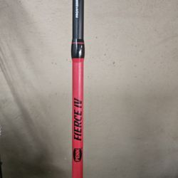 Penn Fierce IV Rod 
