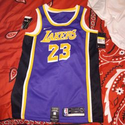 LA Lakers Labron