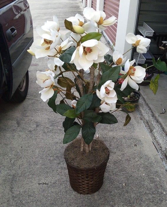 Gorgeous Feaux Magnolia Tree