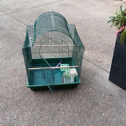 Bird Cage