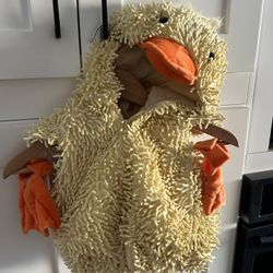 Infant Kids Baby Farm Duck Halloween Costume