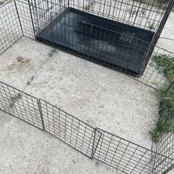 2 dog cages condition is Still good has a little rust Made of metal for a big dog and a puppy 20 for one 40 for both 