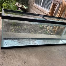 55 Gallon Fish Aquarium
