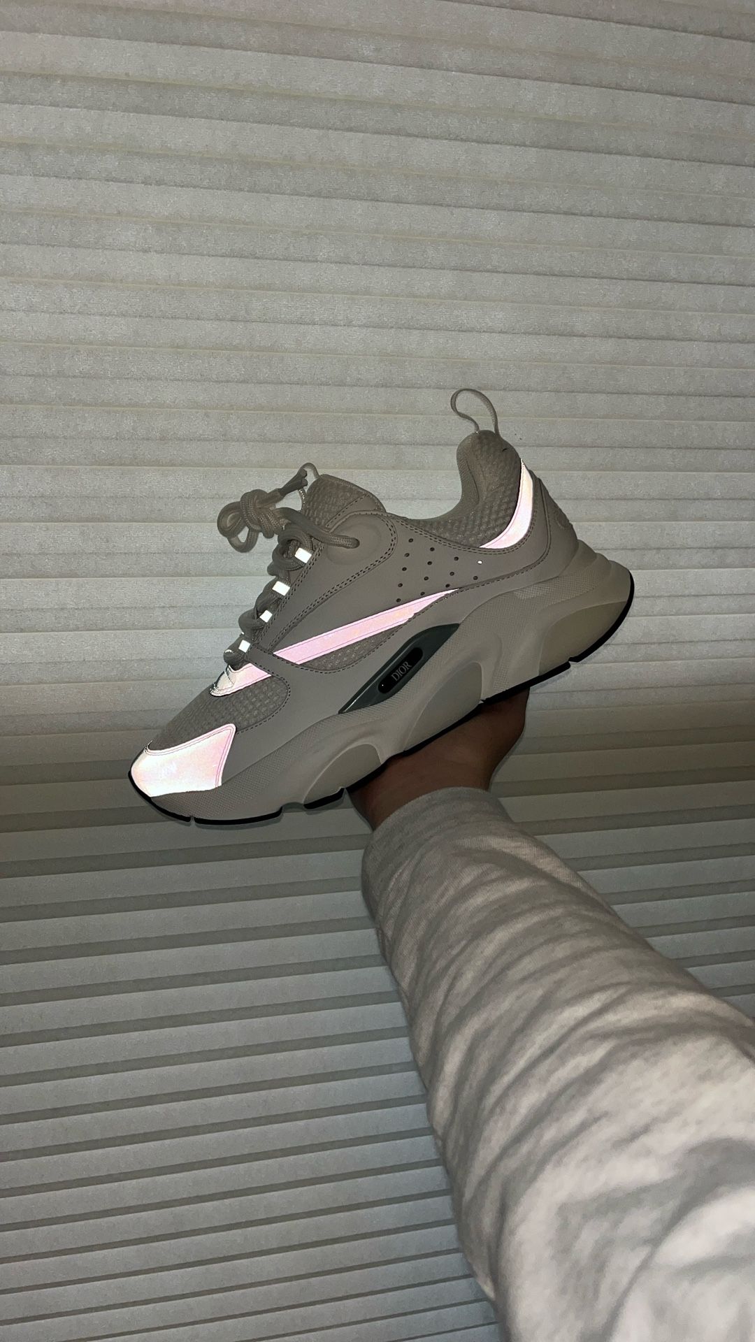 Dior b22