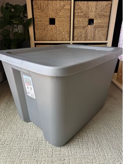 Large Sterilite container box | Great Condition