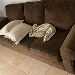 Brown Couch 