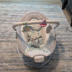 Baby Bouncer 
