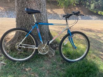 Wilson “Winning Spirit” 26” bike