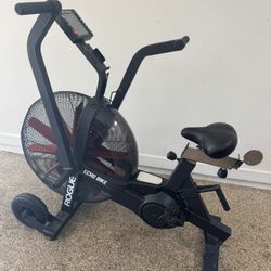 Rogue v2 Echo Assault Bike
