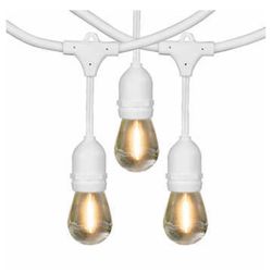 Feit Electric 48' LED Filament String Light Set White