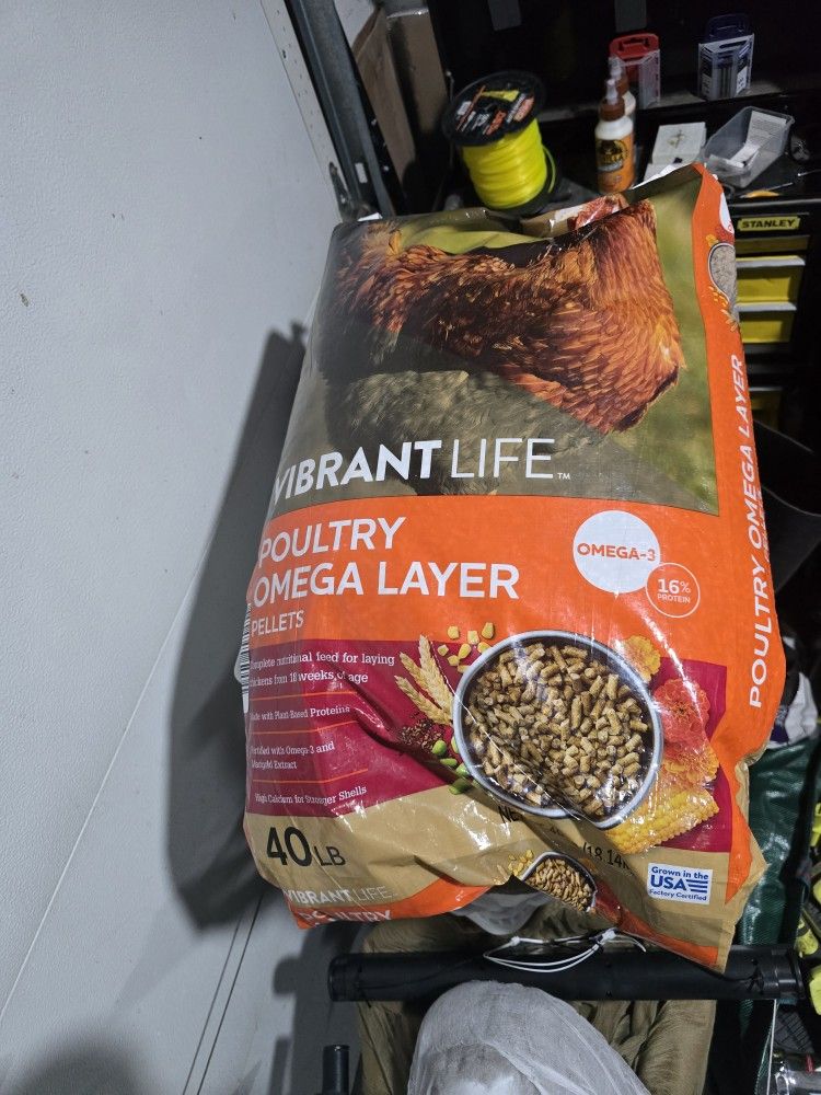 Chicken Feed