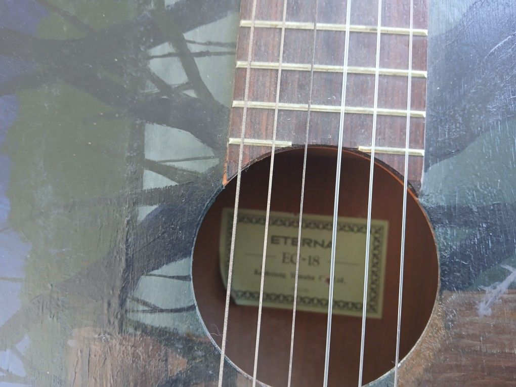 Kaosiung yamaha Acoustic guitar