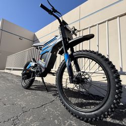 Electric bike