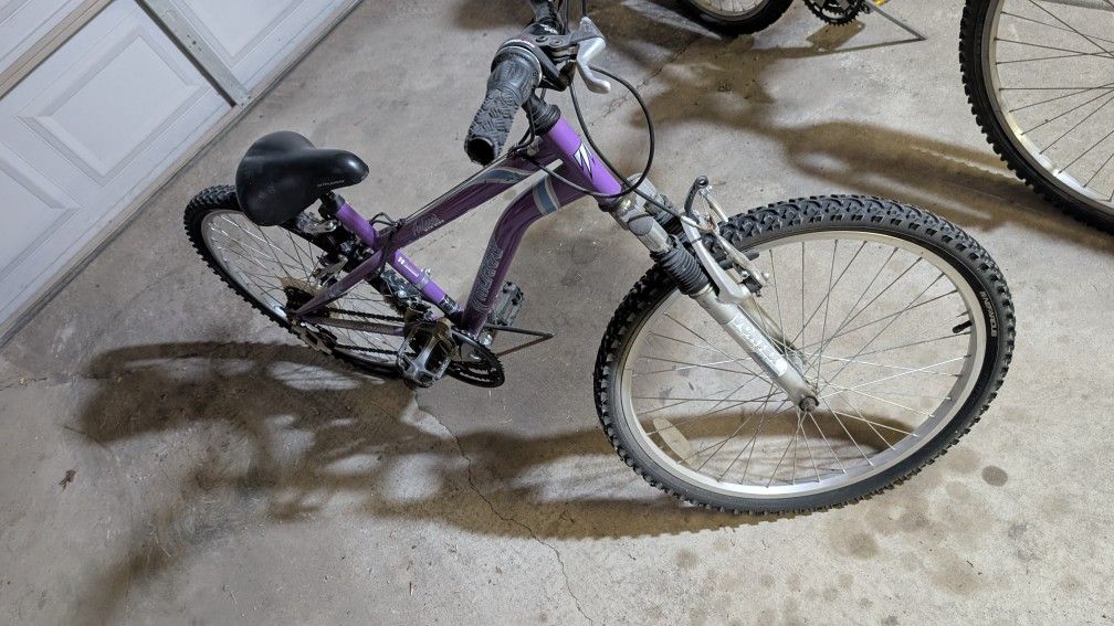 24" Girls Mountain Bike