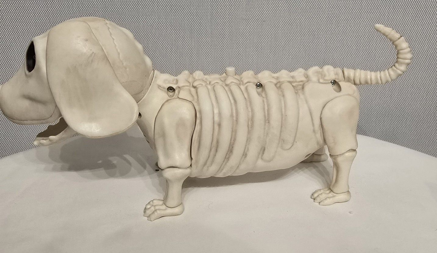Animated Skeleton Doxie Dog Barks