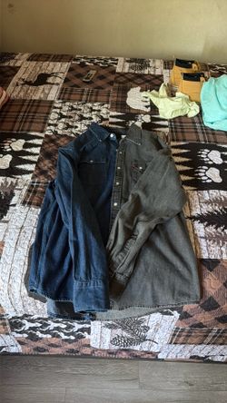 Levi’s sabertooth