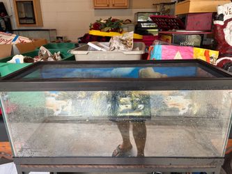 20g fish tank