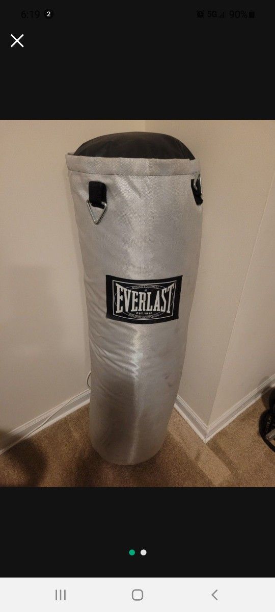 Everlast Punching Bag