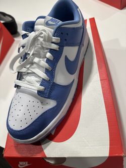 Nike Dunk Low “Polar”