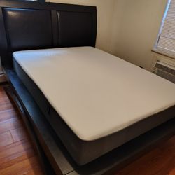 Queen Sized Bed 