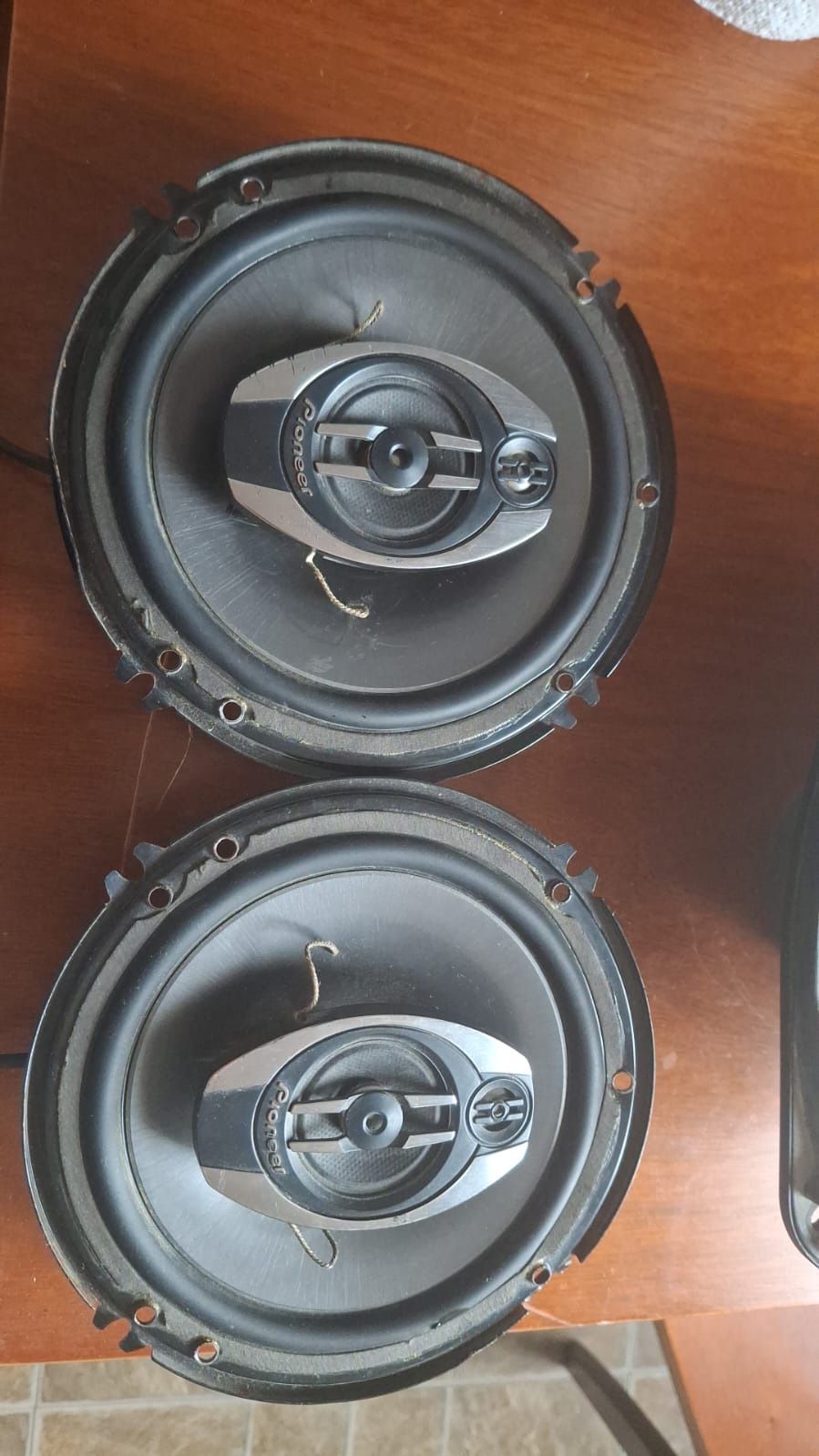 Speaker Pioneer
