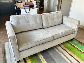 Couch + Love Seat combo