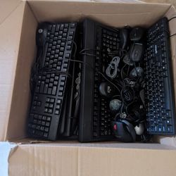 Usb Black Keyboards And Mice 