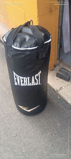 Everlast 40lb heavy bag