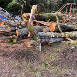 Firewood 🪵 🌲