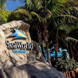 SeaWorld Tickets