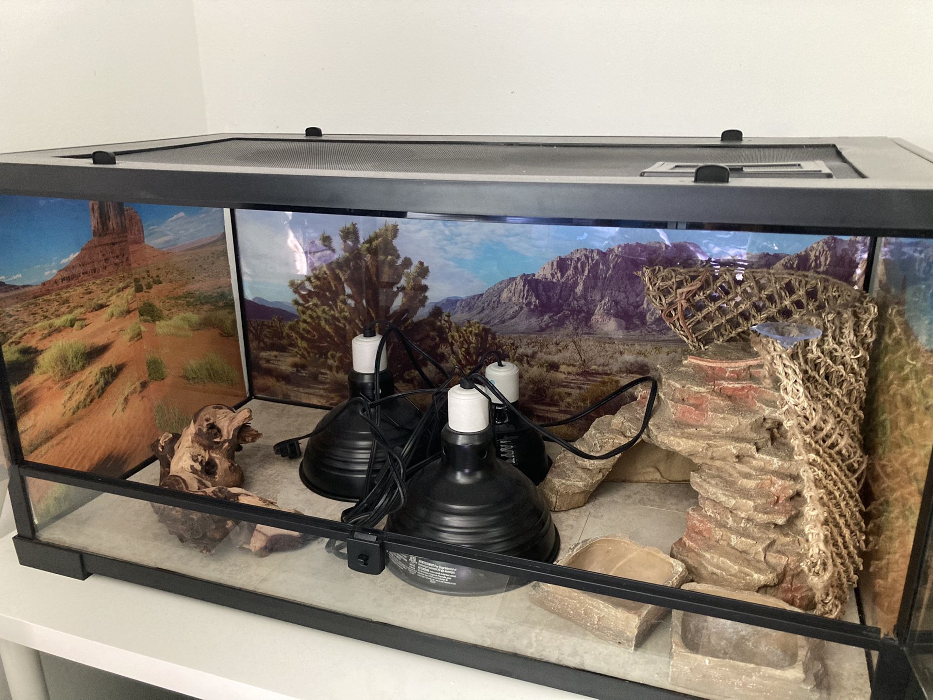 Reptile Setup 40 gallon With Everything Included
