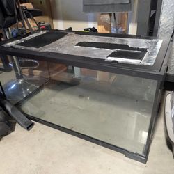 Terrarium - 36 inch
