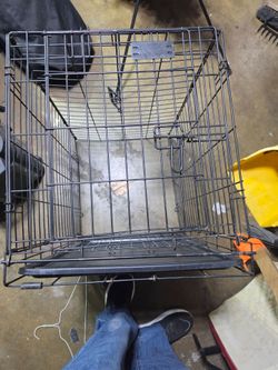 Dog kennel