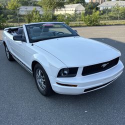 2005 Mustang Convertible 117