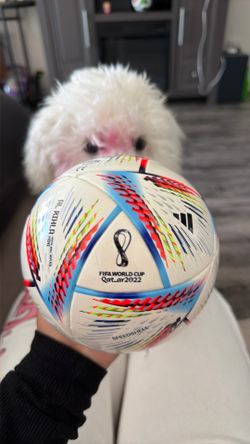 World Cup Ball 2022 Mini Ball