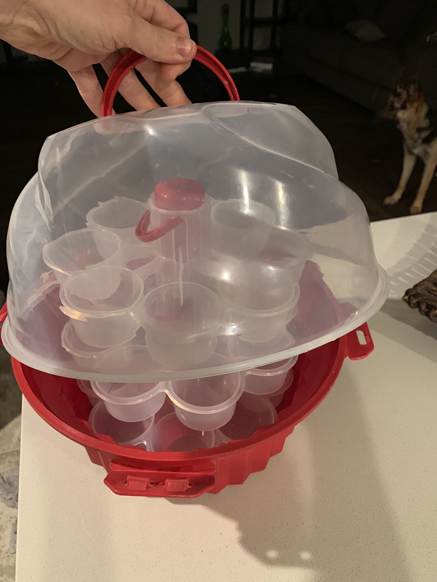 Cupcake holder