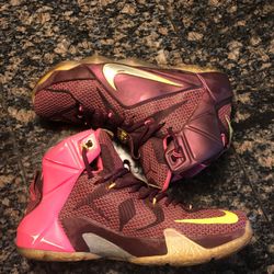 Lebron J. 12s Double Helix (slightly used)(i take offers)