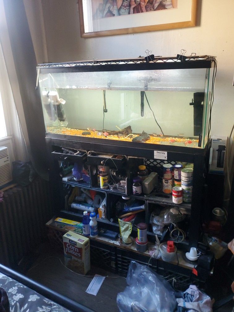 55 gallon fish tank with fishes pumps everything lights included
