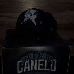 Dandy X Canelo Tiffany 