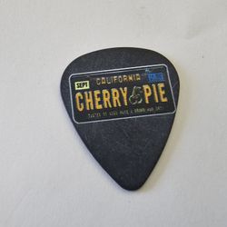 Official Warrant Robert Mason Guitar Tour Pick