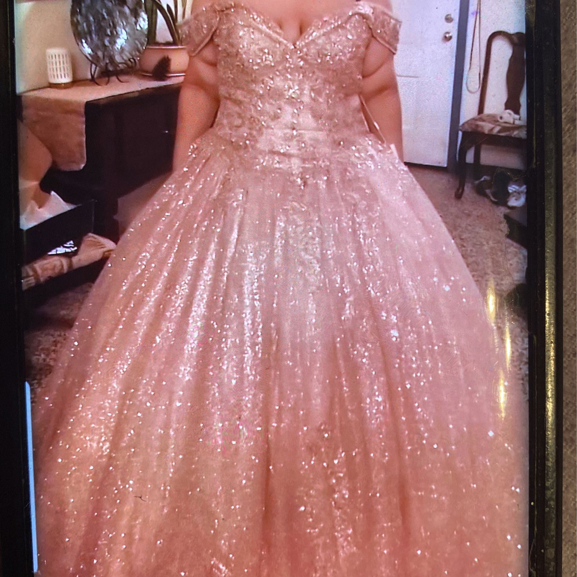 Quinceanera Dress/Prom Dress 