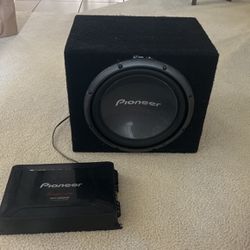 12” Subwoofer and 5-channel Amp
