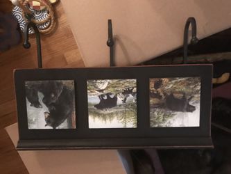 Bears