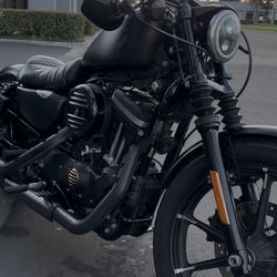 Harley Davidson (contact info removed)