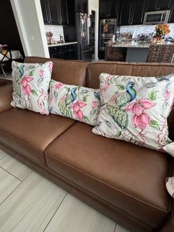Peacock Decorative Sofa Pillows