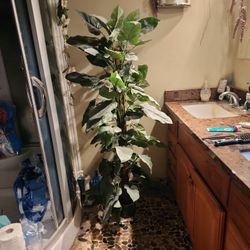 Fake Plants 